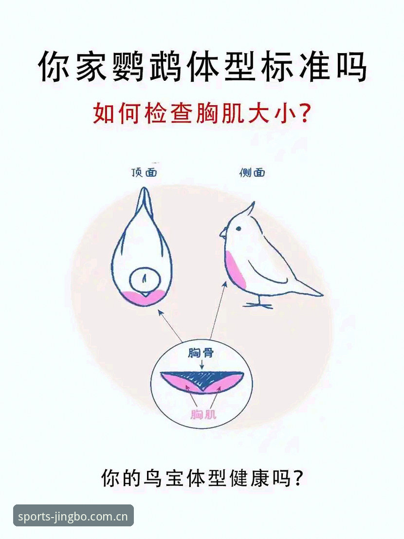 新手自测指南：竞博赛事预测教程vs实战经验，哪个更值得信赖？